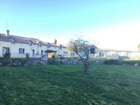 photo no. 15