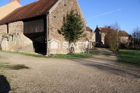 photo no. 12