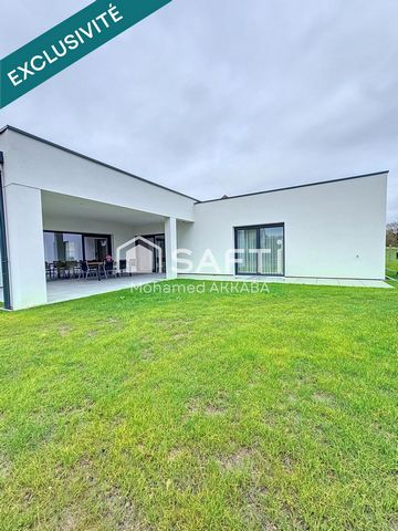 photo no. 14