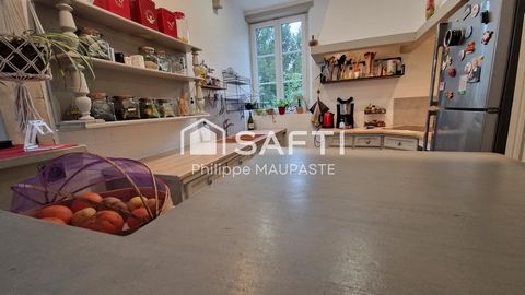 photo no. 9