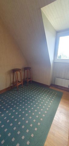photo no. 11