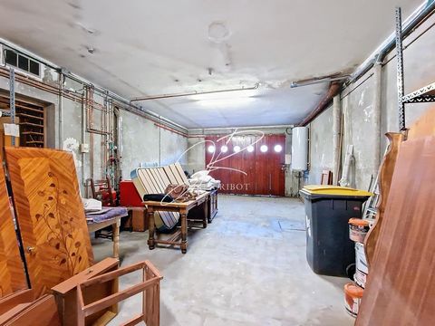 photo no. 6