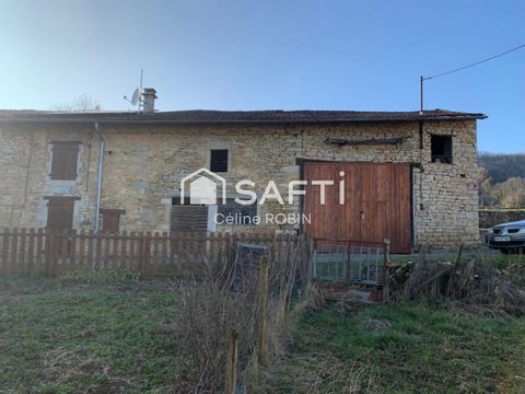 photo no. 13