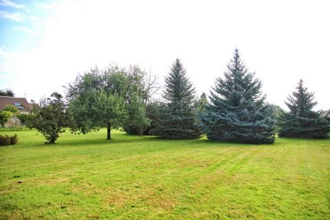 photo no. 9