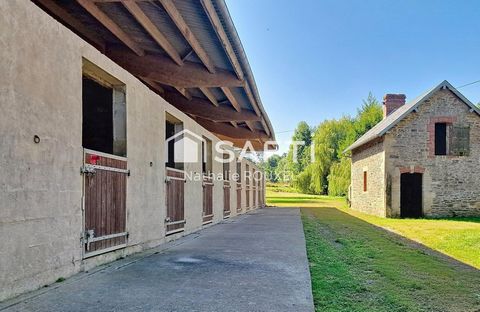 photo no. 15