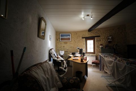 photo no. 7
