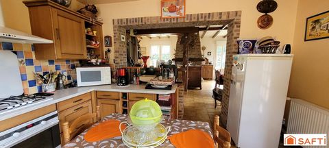 photo no. 12