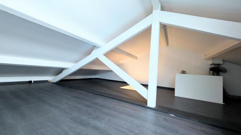 photo no. 8