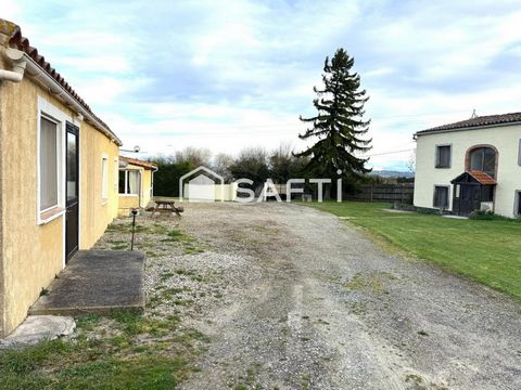photo no. 13