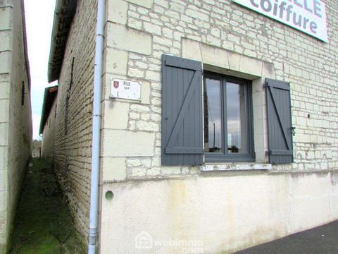 photo no. 12