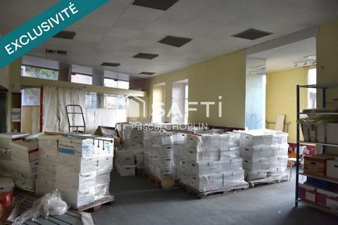 photo no. 12