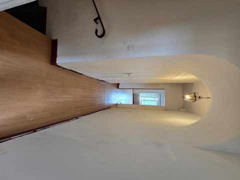 photo no. 11