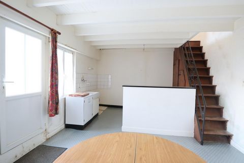 photo no. 11