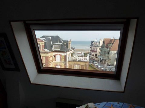 photo no. 13