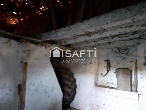 photo no. 5