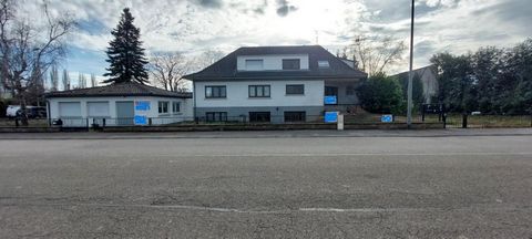 photo no. 18