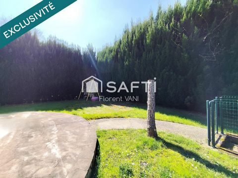 photo no. 14