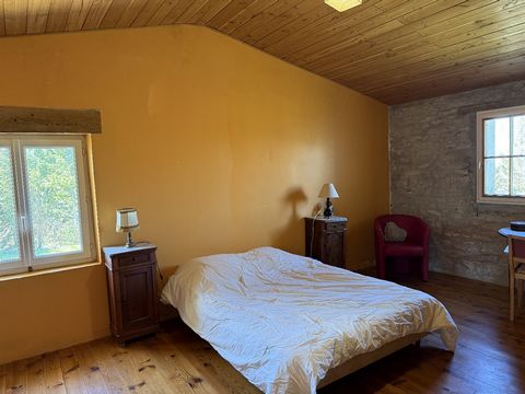 photo no. 9