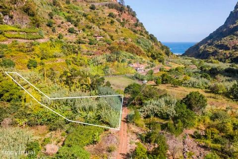 Terreno Rústico para Venda com a área de 1.690 m², localizado no Barranco, muito próximo ao Calhau de São Jorge. O imóvel está inserido numa zona tranquila, com boa acessibilidade e bom clima.  De fácil ligação à rede pública de água e de electricida...