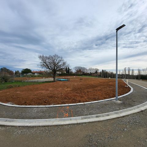 photo no. 2