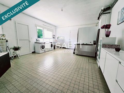 photo no. 10