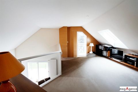 photo no. 8