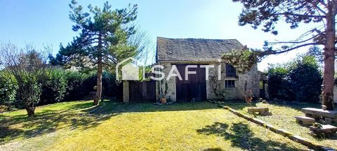 photo no. 15