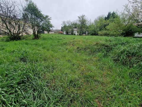 Terrain de 1000 M2 borné proche des commodités