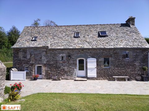 photo no. 10