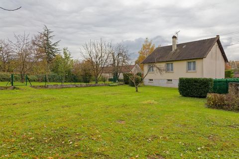 photo no. 8