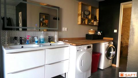 photo no. 11