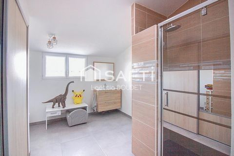 photo no. 7
