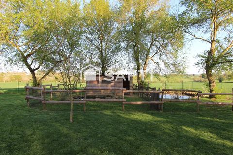 photo no. 12