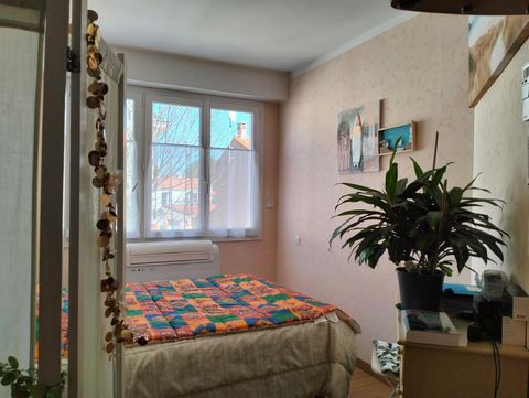 photo no. 2