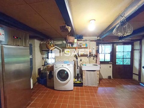 photo no. 15
