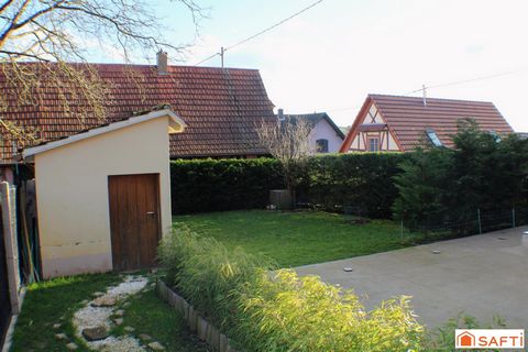 photo no. 10