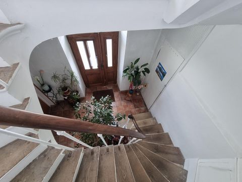 photo no. 9