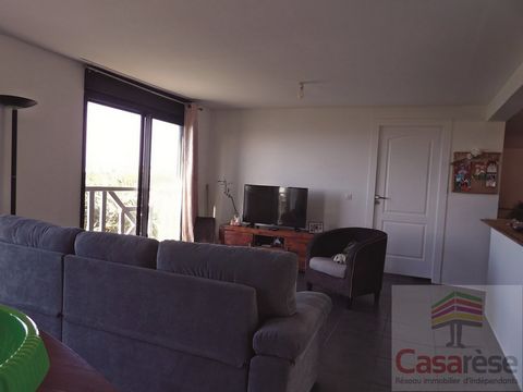 photo no. 2
