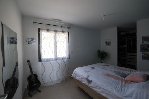 photo no. 6