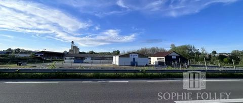 Once a thriving furniture manufacturing complex in the 80s, the property is now multi-tenanted for a variety of commercial occupants. The site is very well located in a small industrial area bounded by Ave Pierre Mendez France and Ave Daniel Argote a...