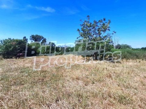 For more information, call us at ... or 032 586 956 and quote the property reference number: Plv 82035. Responsible broker: Petar Petalarev Looking for a quiet plot of land in the area of Petalarev. A place to build your dream home? We have an attrac...