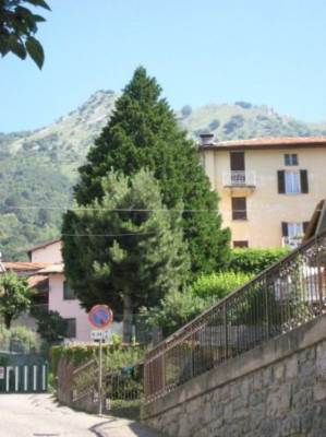 COMO Lake, Municipality of Esino Lario seat of the 2016 WIKIPEDIA World Congress. Villa consisting of 2 apartments that can be separated with access and common garden located in the center with magnificent views of the mountains through 2 large terra...