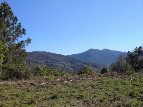 QUINTA SERRA DA ESTRELA, land with feasibility of construction In Famalicão da Serra, part of the Serra da Estrela National Park, rustic land with an area of 30,000 square meters is for sale. Situated on a high point, with a stunning view of the vall...