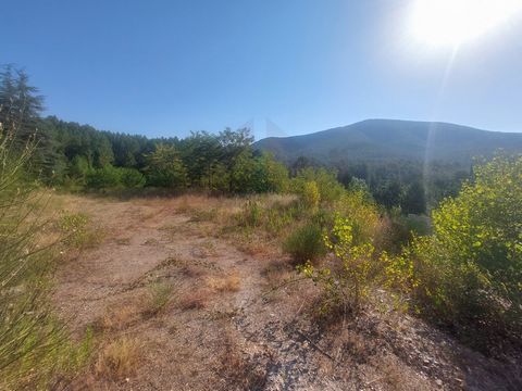 For sale Le Martinet, located 15 minutes from Alès, in the Cevennes a magnificent building plot, bounded and serviced on the edge. The total sewer is very close in a quiet and residential area. Unobstructed view of the Cevennes to come and see withou...