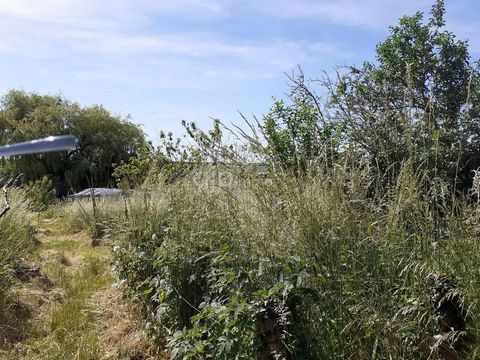 Coppice divided into 5 lots. Total surface : 7054 m² (non-constructible land) Contact: ...
