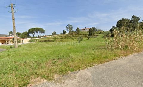 Land with 7,240m2 with planting of Olive trees, Vine, Pine Forest and Arvense Culture. This land is in a strategic location, providing the perfect balance between tranquility and accessibility. Enjoy the peace and serenity of the countryside whilst r...