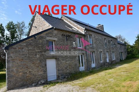 VIAGER OCCUPIES - South of Dinan, a lot of charm for this stone house renovated in 2012 offering on 220m2 of living space: an entrance, a kitchen open to the living room with an insert fireplace and reversible aerothermy, 5 bedrooms, one on the groun...