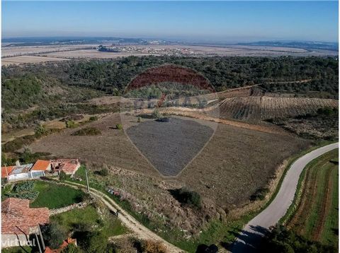 Land in the Montes de Presalves in Reveles - Abrunheira, with a total area of 12,789 m² and 1,000 m² for construction. Quiet area with good views. Located near Coimbra and 20 minutes from Figueira da Foz.