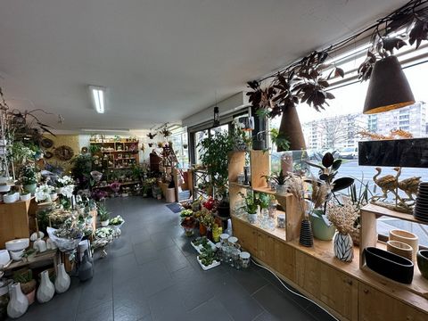 Centre-ville de Saint-Lô, magasin de fleurs d'une surface de 60 m² !!!