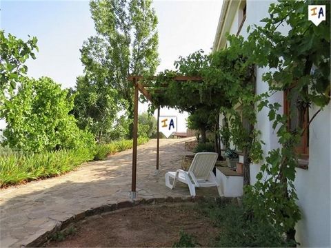 This stunningly located 4 bedroom, 3 bathroom Cortijo, part restored and part new build lies within 236 olive trees (which can be rented out) and has 360º dramatic countryside and mountain views. Drive off a quiet road, down a short track, past the p...